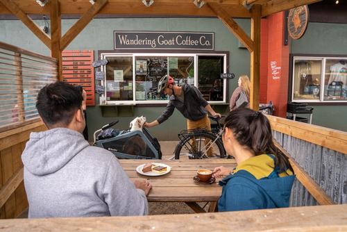 Show full view: Burley Bark Ranger Dog Bicycle Trailer, Blue Spruce, Standard slide 8 of 11