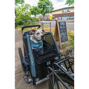 Burley Bark Ranger Dog Bicycle Trailer, Blue Spruce, X-Large