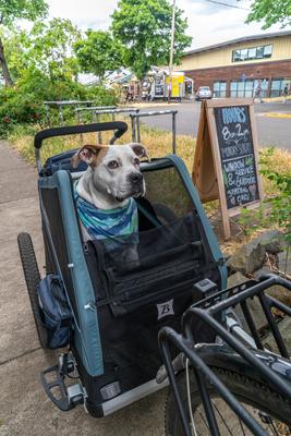 Show full view: Burley Bark Ranger Dog Bicycle Trailer, Blue Spruce, Standard slide 7 of 11