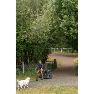 Burley Bark Ranger Dog Bicycle Trailer, Blue Spruce, X-Large
