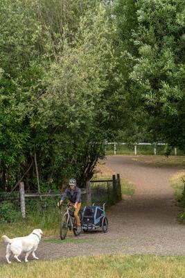 Show full view: Burley Bark Ranger Dog Bicycle Trailer, Blue Spruce, Standard slide 5 of 11