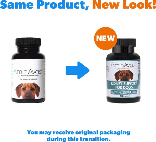 AMINAVAST Kidney Support Dog Supplement, 60 count - Chewy.com