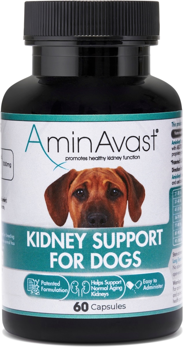 AMINAVAST Kidney Support Dog Supplement, 60 count - Chewy.com