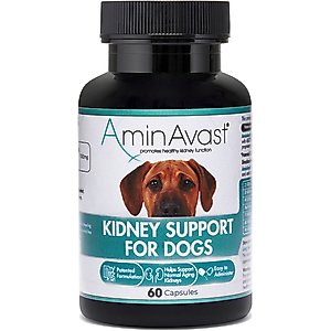 AMINAVAST Kidney Support Dog Supplement, 60 count - Chewy.com