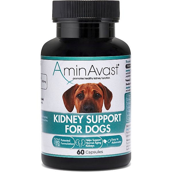 AminAvast Kidney Support Dog Supplement, 60 count