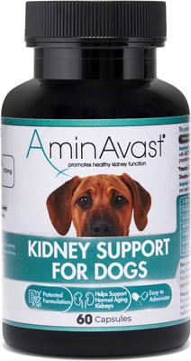 AMINAVAST Kidney Support Dog Supplement, 60 count - Chewy.com