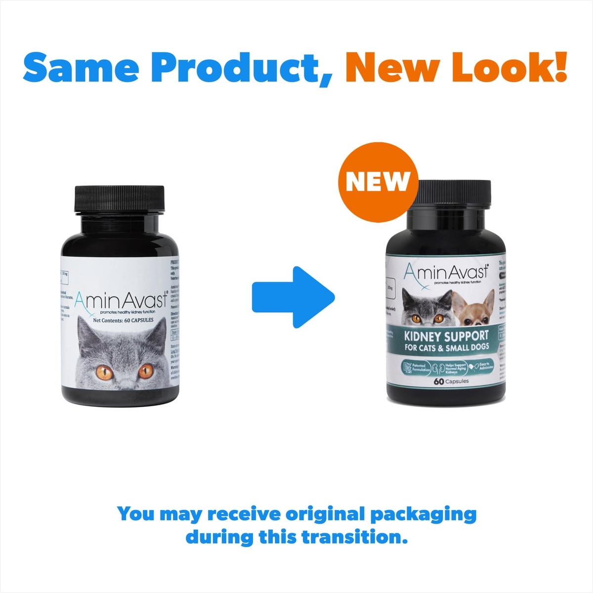 AMINAVAST Kidney Support Cats & Small Dogs Supplement, 60 count