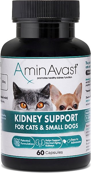 AMINAVAST Kidney Support Cats & Small Dogs Supplement, 60