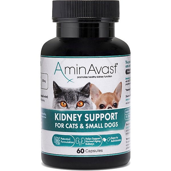 AminAvast 300-mg Chew Kidney Support Supplement for Cats, 60 count