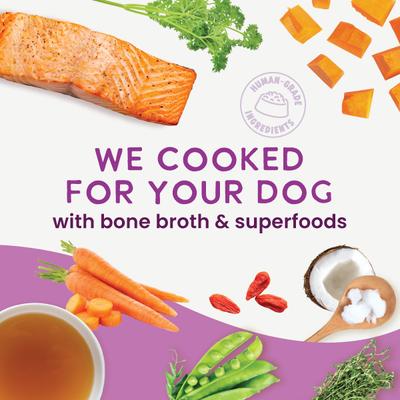 Show full view: Health Extension Gently Cooked Grain-Free Salmon Recipe Wet Dog Food, 9-oz pouch, 1 count slide 6 of 11