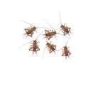 Feeder Insects Live Crickets Reptile Food, Small, 1000 count