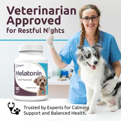 Show full view: K9 Select Melatonin 1-mg Beef Flavored Chewable Tablets Calming Supplement for Dogs, 500-mL bottle slide 8 of 8