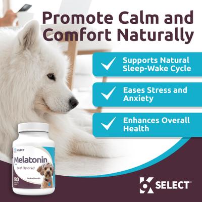Show full view: K9 Select Melatonin 1-mg Beef Flavored Chewable Tablets Calming Supplement for Dogs, 500-mL bottle slide 6 of 8