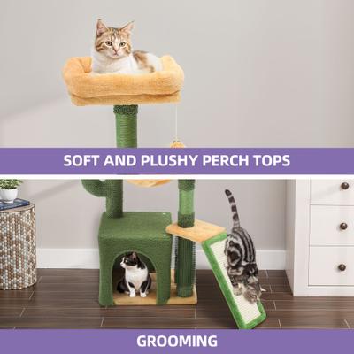 Show full view: Wooflex 37-in Cactus Multi-Level Cat Tree & Condo slide 5 of 7