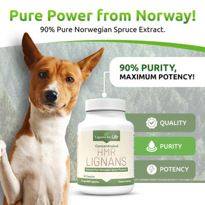 Show full view: K9 Select Lignans for Life 20-mg HMR Capsules Hormone Supplement for Dogs, 500-mL bottle slide 4 of 8