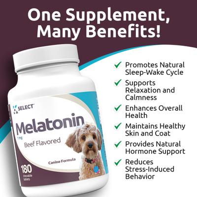 Show full view: K9 Select Melatonin 1-mg Beef Flavored Chewable Tablets Calming Supplement for Dogs, 500-mL bottle slide 4 of 8