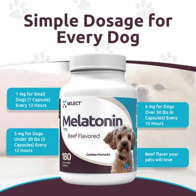 Show full view: K9 Select Melatonin 1-mg Beef Flavored Chewable Tablets Calming Supplement for Dogs, 500-mL bottle slide 7 of 8