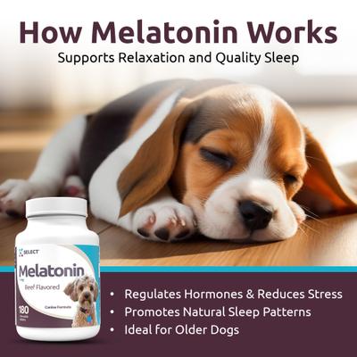 Show full view: K9 Select Melatonin 1-mg Beef Flavored Chewable Tablets Calming Supplement for Dogs, 500-mL bottle slide 5 of 8