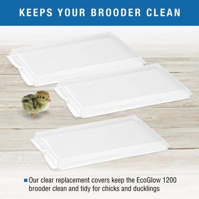 Show full view: Brinsea EcoGlow Safety Chick & Duckling Brooder Covers, 1200 slide 5 of 9