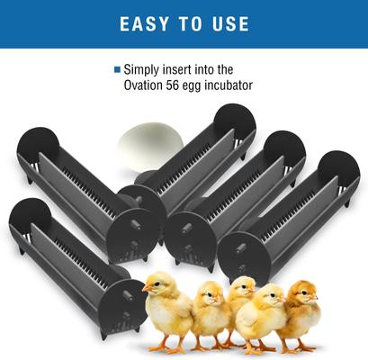 Show full view: Brinsea Ovation 56 Incubators Large Bird Egg Carriers slide 3 of 8