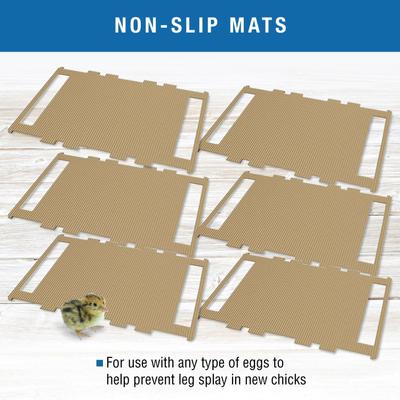 Show full view: Brinsea Ovation Bird Egg Incubator Hatching Mat, 56 count slide 5 of 8