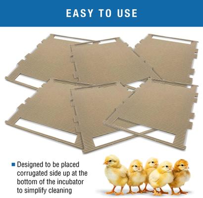 Show full view: Brinsea Ovation Bird Egg Incubator Hatching Mat, 56 count slide 3 of 8