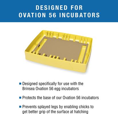 Show full view: Brinsea Ovation Bird Egg Incubator Hatching Mat, 56 count slide 2 of 8