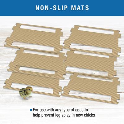 Show full view: Brinsea Ovation Bird Egg Incubator Hatching Mat, 28 count slide 5 of 8