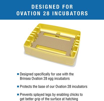 Show full view: Brinsea Ovation Bird Egg Incubator Hatching Mat, 28 count slide 2 of 8
