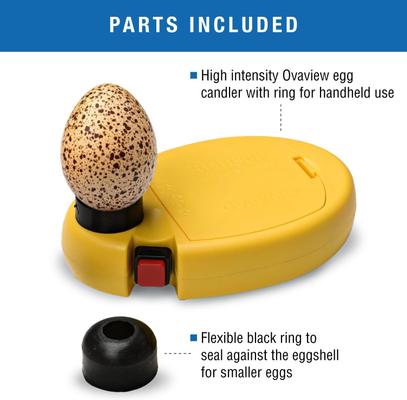 Show full view: Brinsea Ovaview High Intensity Bird Egg Candler slide 7 of 9