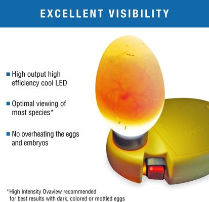 Show full view: Brinsea Ovaview Standard Bird Egg Candler slide 4 of 10