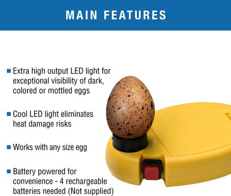 Show full view: Brinsea Ovaview High Intensity Bird Egg Candler slide 2 of 9