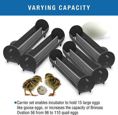 Show full view: Brinsea Ovation 56 Incubators Large Bird Egg Carriers slide 4 of 8