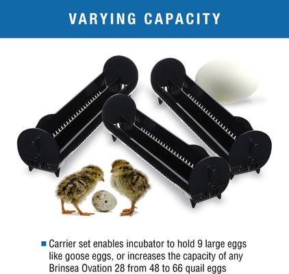 Show full view: Brinsea Ovation 28 Incubators Large Bird Egg Carriers slide 4 of 8