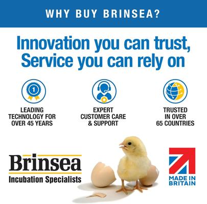 Show full view: Brinsea Mini II Advance Automatic Egg Incubator Hatching Mats, 6 count slide 8 of 9
