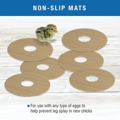 Show full view: Brinsea Mini II Advance Automatic Egg Incubator Hatching Mats, 6 count slide 5 of 9