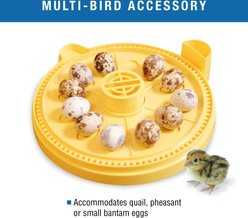 Brinsea Mini II Advance Automatic Egg Incubator Small Egg Insert slide 2 of 8