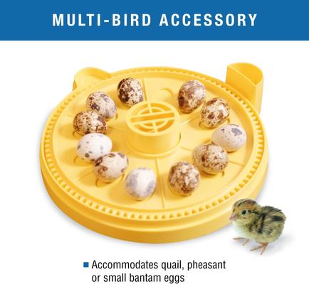 Show full view: Brinsea Mini II Advance Automatic Egg Incubator Small Egg Insert slide 3 of 9