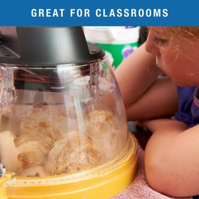 Show full view: Brinsea Mini II Advance Automatic Egg Incubator Small Egg Insert slide 4 of 9