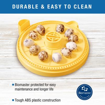 Show full view: Brinsea Mini II Advance Automatic Egg Incubator Small Egg Insert slide 5 of 9