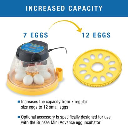 Show full view: Brinsea Mini II Advance Automatic Egg Incubator Small Egg Insert slide 2 of 9