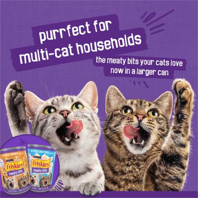 Show full view: Friskies Meaty Bits with Ocean Fish & Chicken Dinner Chunks in Gravy Variety Pack Canned Wet Multi Cat Food, 13.5-oz can, 12 count slide 8 of 11