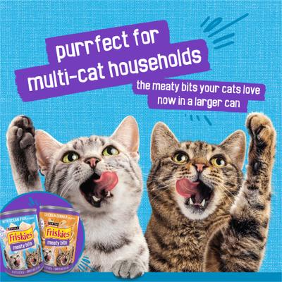 Show full view: Friskies Meaty Bits with Ocean Fish in Sauce Chunks in Gravy Canned Wet Multi Cat Food, 13.5-oz can, 12 count slide 9 of 12