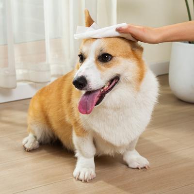 Show full view: Pet Marvel Hypoallergenic Grooming Dog & Cat Wipes, Unscented, 400 count slide 7 of 7