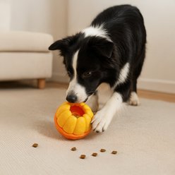 PawsPik 2-in-1 Rolling Treat Dispenser & Frozen Lick Enrichment Dog Toy, Orange, Small