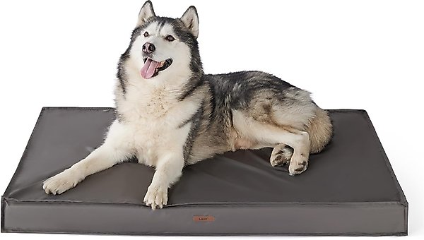 Lesure Indoor & Outdoor Waterproof Orthopedic Dog Bed with Removable Cover