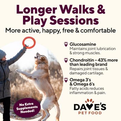 Show full view: Dave's Pet Food Hip & Joint Support with Glucosamine, Chicken, Duck & Turkey Recipe Wet Dog Food, 13.2-oz can, 12 count slide 5 of 11