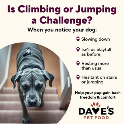 Show full view: Dave's Pet Food Hip & Joint Support with Glucosamine, Chicken, Duck & Turkey Recipe Wet Dog Food, 13.2-oz can, 12 count slide 4 of 11