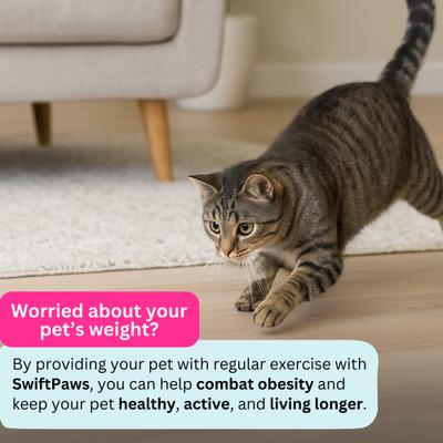 Show full view: SwiftPaws Pounce! Complete Kit Cat Toy, Black slide 7 of 9