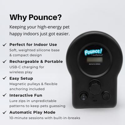 Show full view: SwiftPaws Pounce! Complete Kit Cat Toy, Black slide 5 of 9